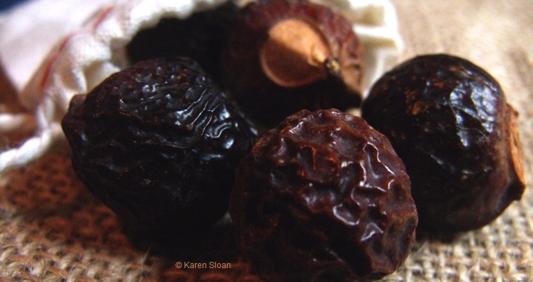 Soap nuts at Wall Flower Studio